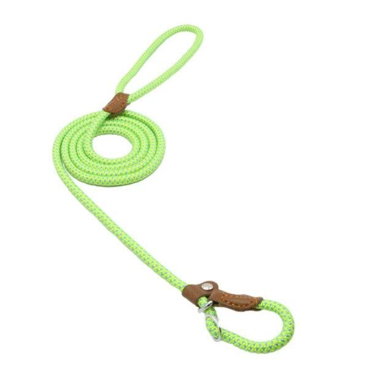 Nylon Dog Collar & Leash Set – Durable Pup Walking Set