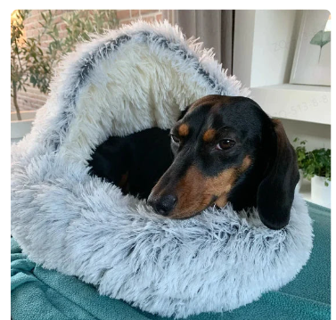 2-in-1 Pet Bed – Reversible Cozy Bed for Cats & Small Dogs