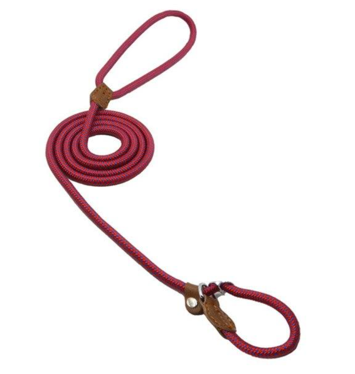 Nylon Dog Collar & Leash Set – Durable Pup Walking Set