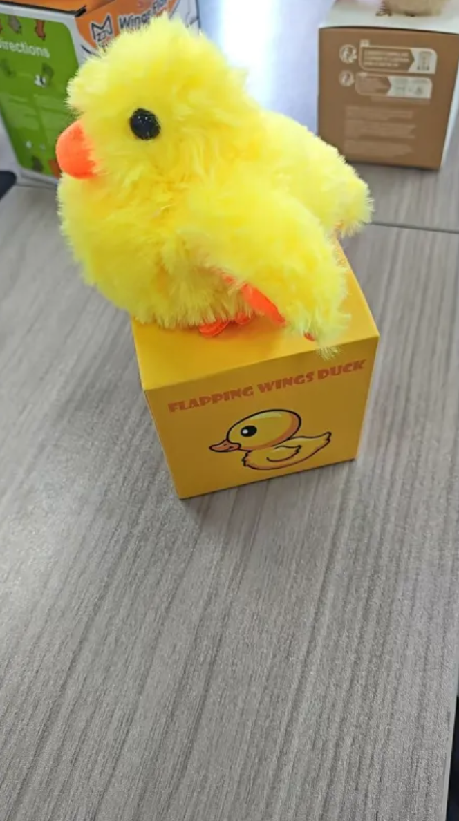 Plush Bird Pet Toy – Soft Squeaky Bird Toy for Dogs &amp; Cats