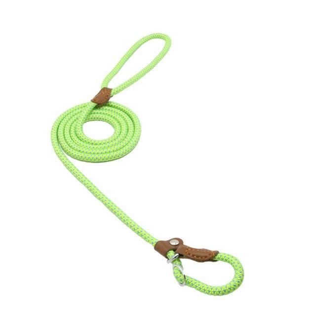Nylon Dog Collar &amp; Leash Set – Durable Pup Walking Set