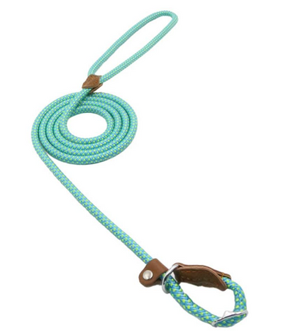Nylon Dog Collar &amp; Leash Set – Durable Pup Walking Set