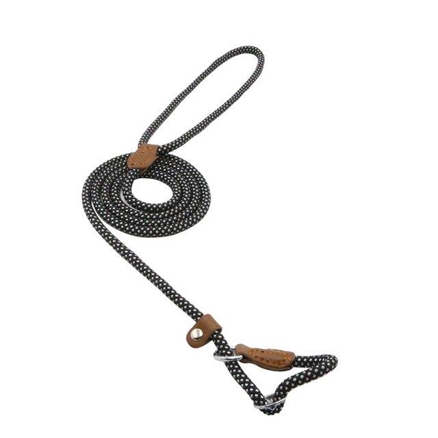 Nylon Dog Collar &amp; Leash Set – Durable Pup Walking Set