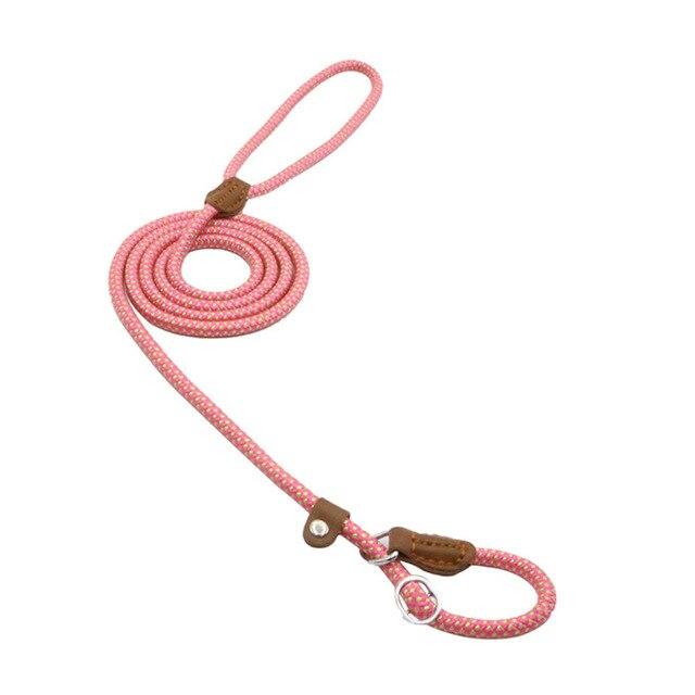 Nylon Dog Collar &amp; Leash Set – Durable Pup Walking Set