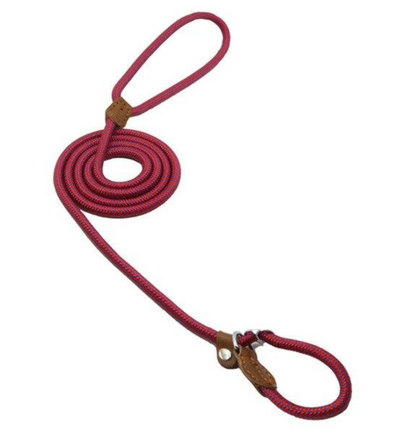 Nylon Dog Collar &amp; Leash Set – Durable Pup Walking Set