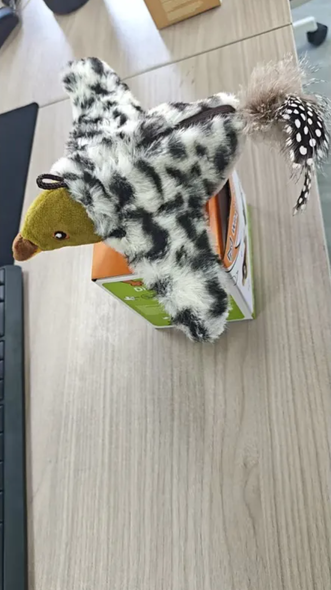Plush Bird Pet Toy – Soft Squeaky Bird Toy for Dogs &amp; Cats