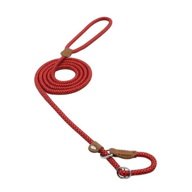 Nylon Dog Collar &amp; Leash Set – Durable Pup Walking Set
