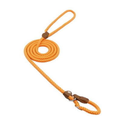 Nylon Dog Collar &amp; Leash Set – Durable Pup Walking Set
