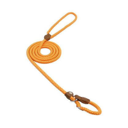 Nylon Dog Collar &amp; Leash Set – Durable Pup Walking Set